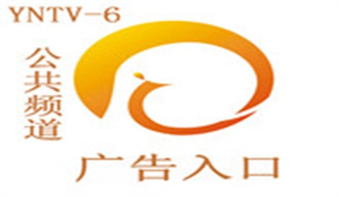 云南廣播電視臺公共頻道（YNTV-6）廣告收費標準